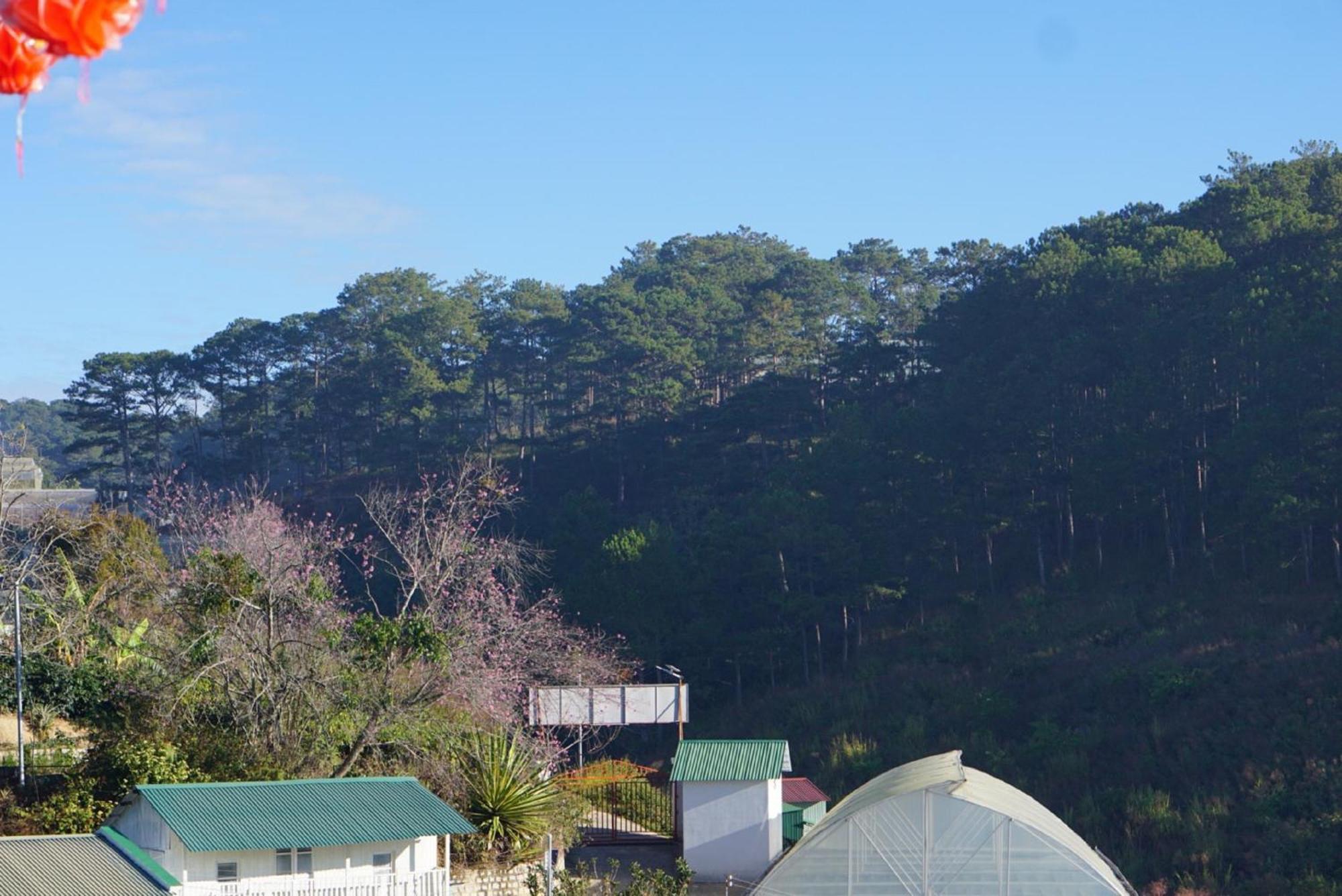 Apartament Lung Chung House Da Lat Zewnętrze zdjęcie